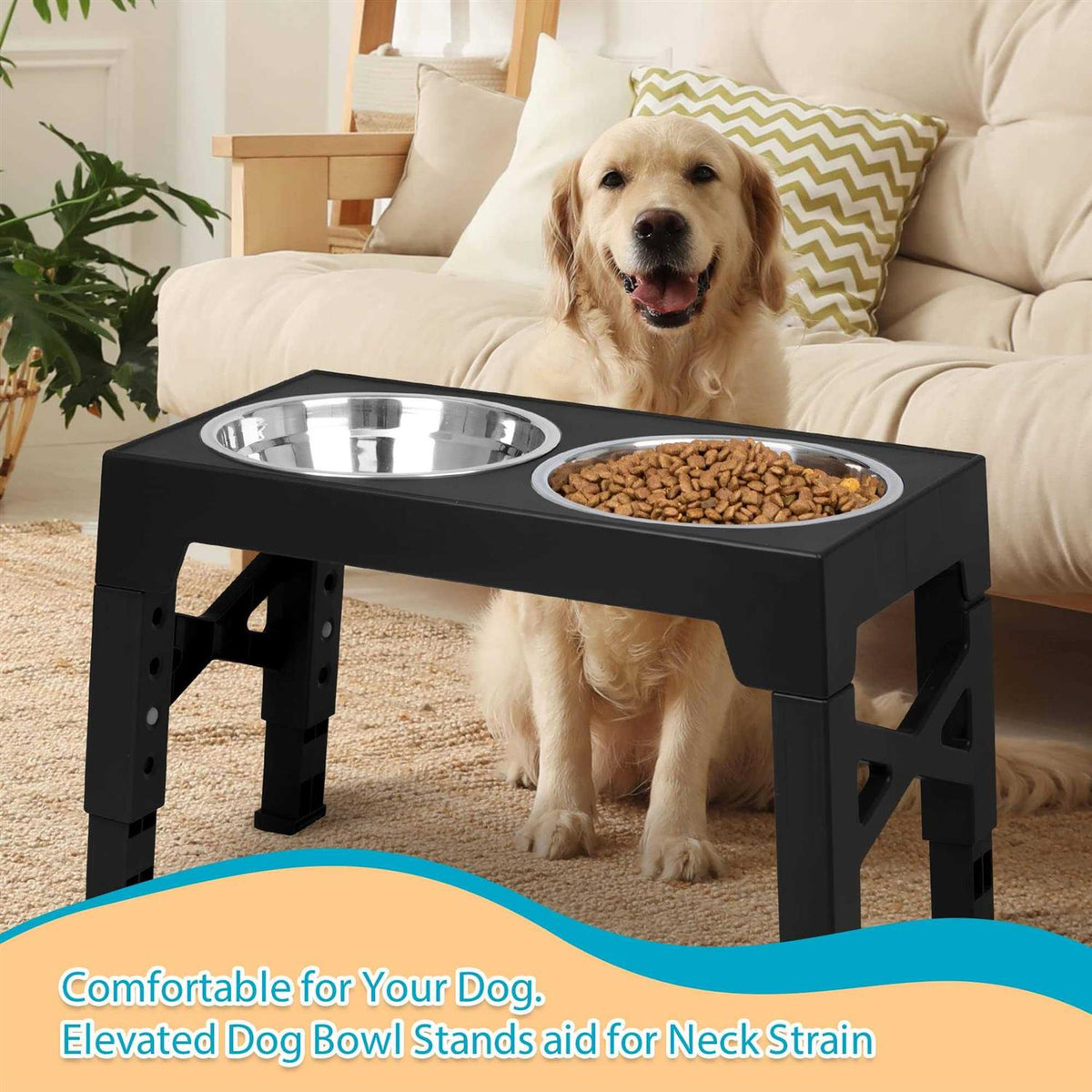 Elevated Dog Bowls with 2 Stainless Steel Bowls T4520