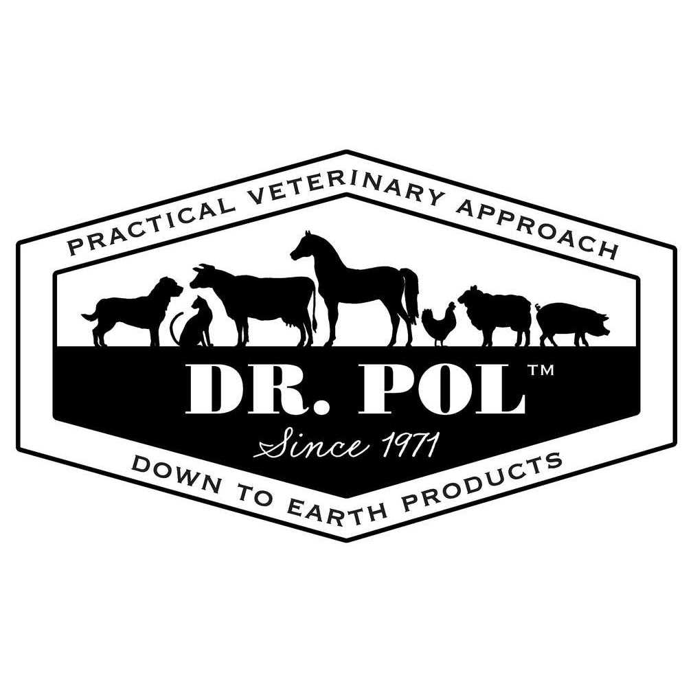 Chicken Recipe Dry Dog Food V823