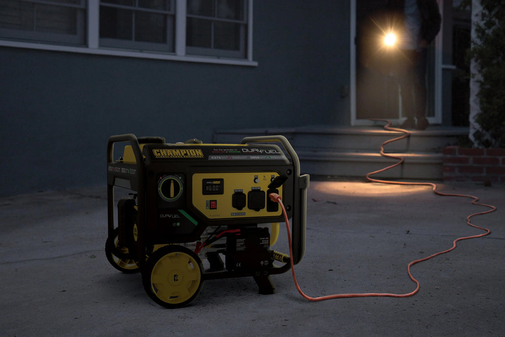3500-Watt Dual Fuel Portable Generator L5761