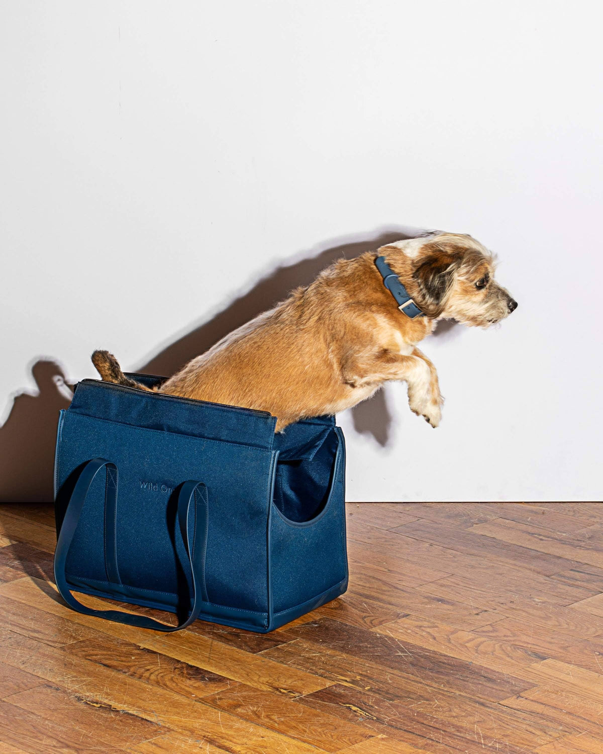 Tan Pet Carrier K31701