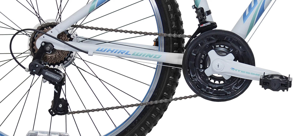 Teal Women's Mountain Bike Y9244
