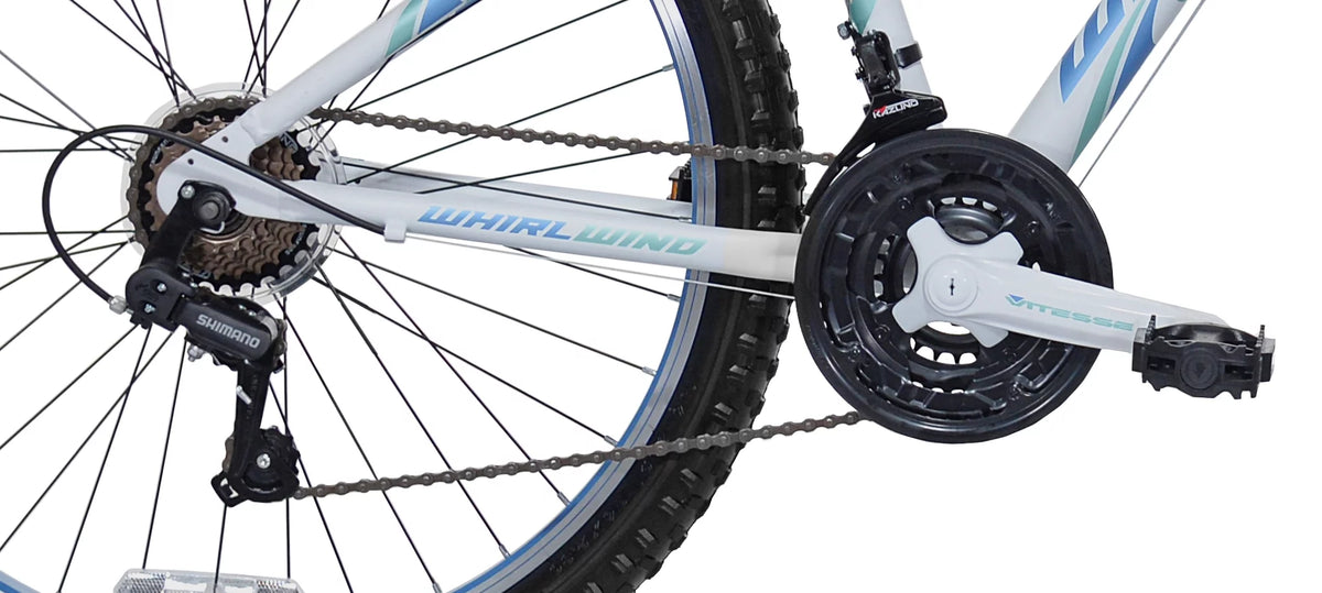 Teal Women's Mountain Bike Y9244