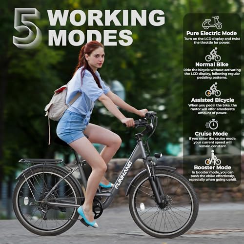 26" 1000W Peak Electric Bike with 48V Removable Li-ion Battery X849