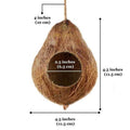 Coconut Hide B681
