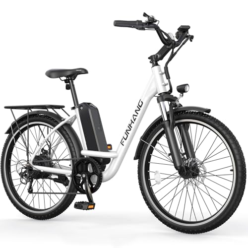 26" 1000W Peak Electric Bike with 48V Removable Li-ion Battery X849