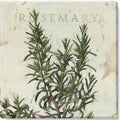 Green Canvas Giclee Print V1994