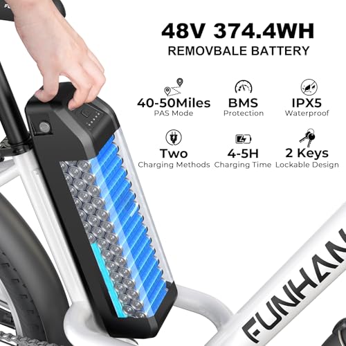26" 1000W Peak Electric Bike with 48V Removable Li-ion Battery X849