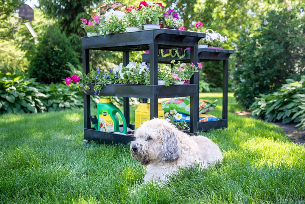 Black Mobile Utility Tub Cart with 3 Shelves N244227