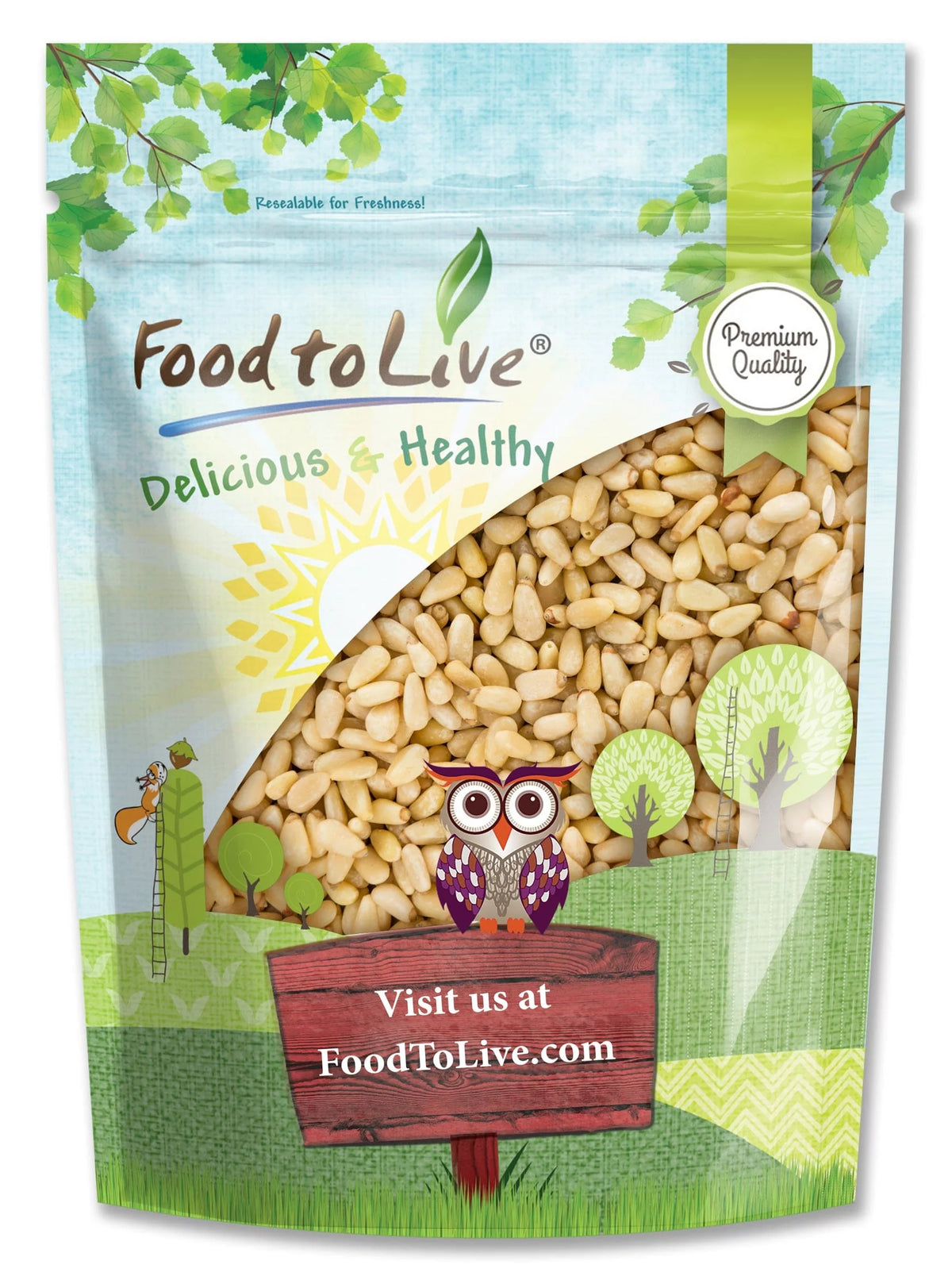 Pine Nuts, 1 Pound — Kosher, Vegan, Raw R12114