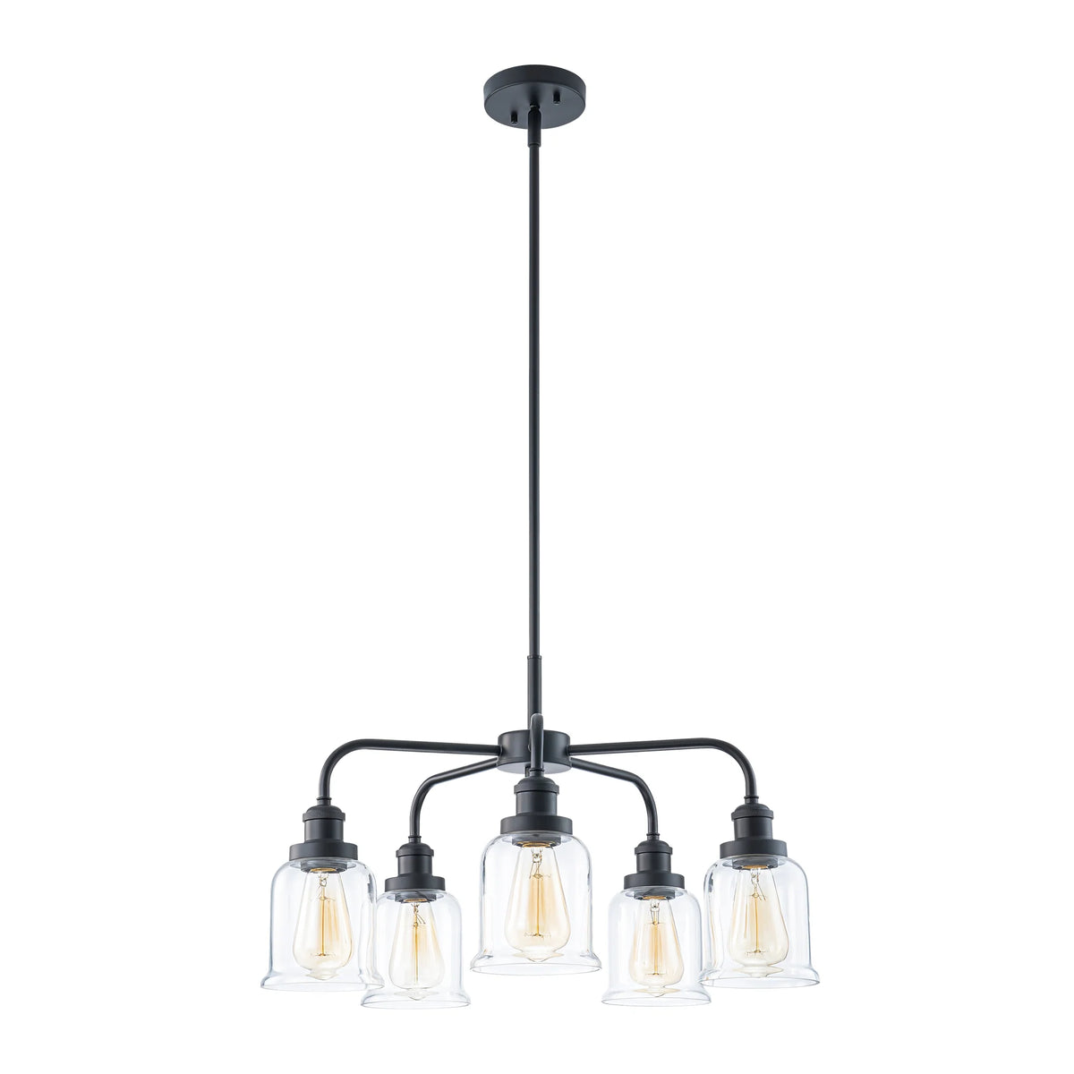 5-Light Dimmable Glass Farmhouse Chandelier W9651