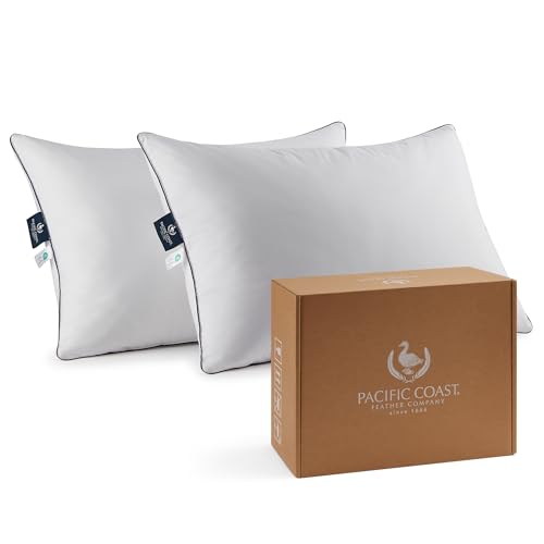 King Size 2 Pack Feather and Down Pillows K9289