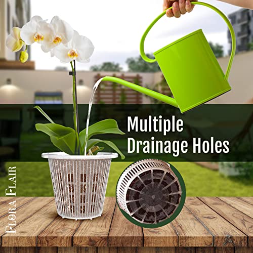 6 Pack 5.5 in Clear Plastic Orchid Pots with Holes C803053