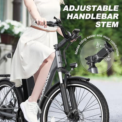 26" 1000W Peak Electric Bike with 48V Removable Li-ion Battery X849