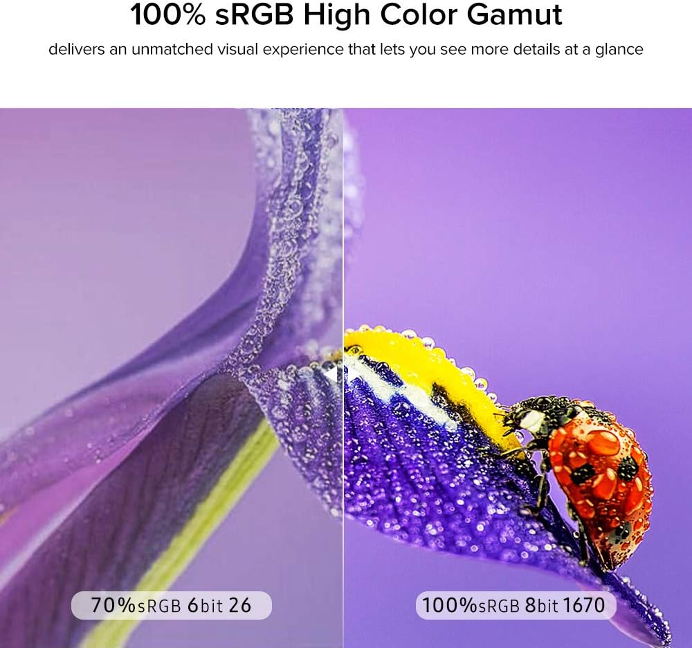 17.3 Inch IPS HDR 1920X1080 Portable Monitor with Dual Speaker I247359