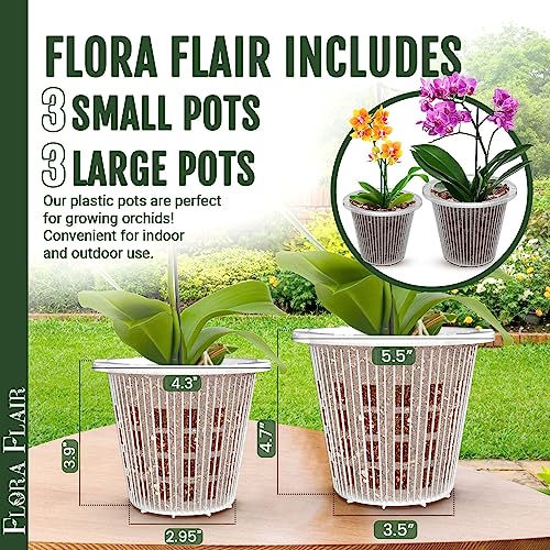 6 Pack 5.5 in Clear Plastic Orchid Pots with Holes C803053