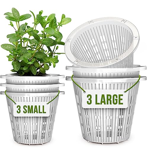 6 Pack 5.5 in Clear Plastic Orchid Pots with Holes C803053