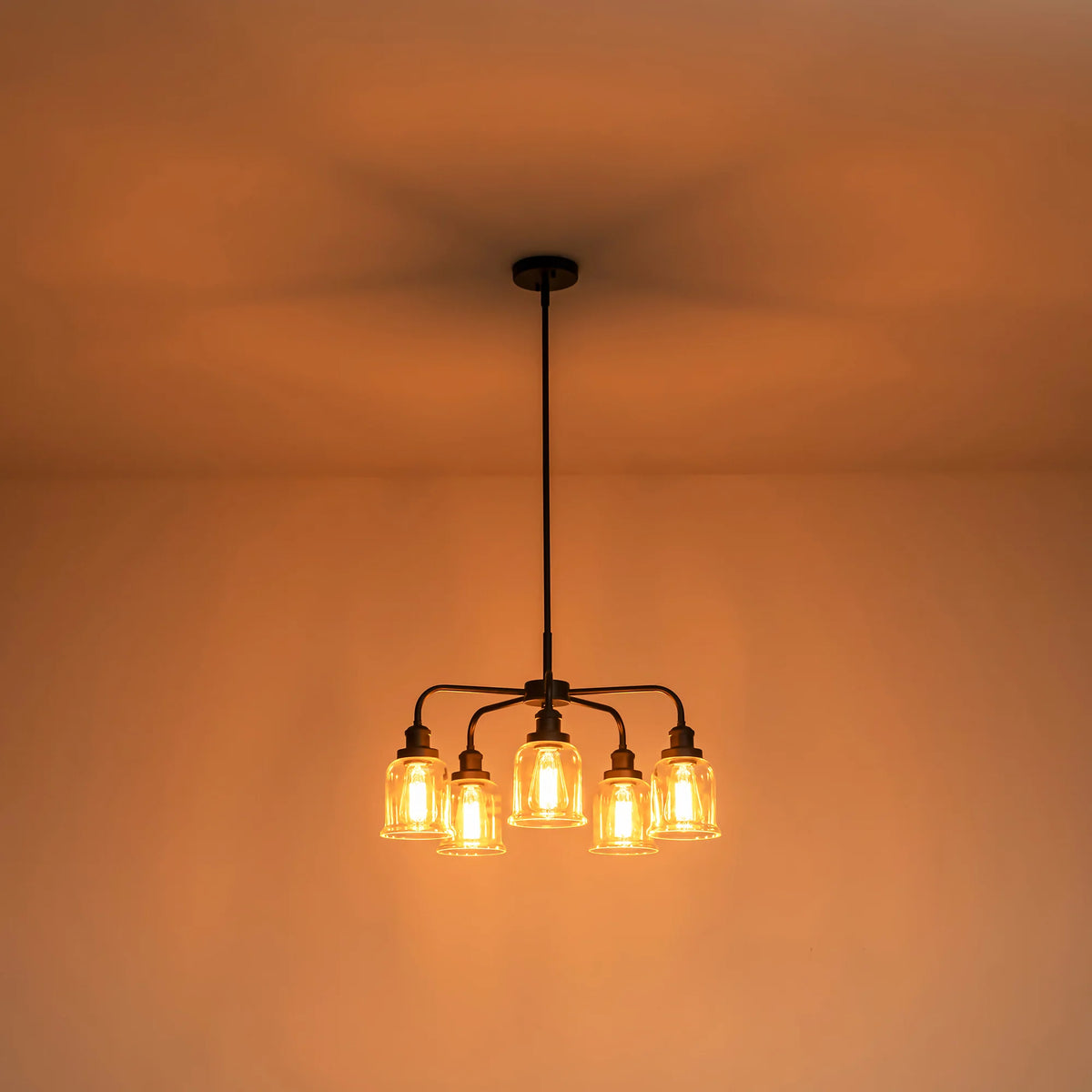 5-Light Dimmable Glass Farmhouse Chandelier W9651