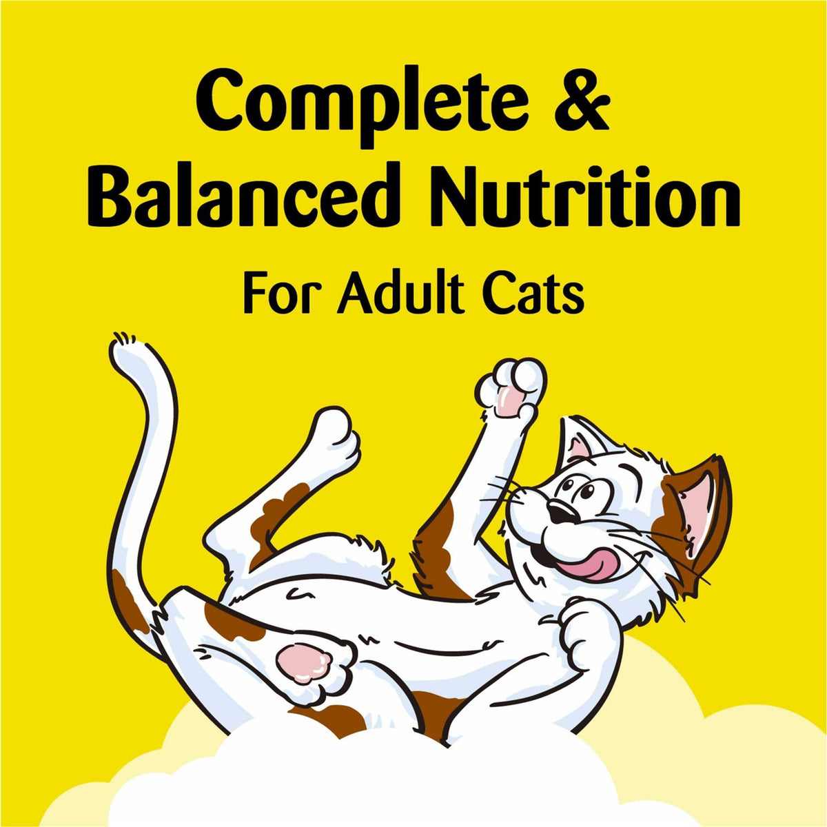 Treat Dispensing Cat Toy L95513