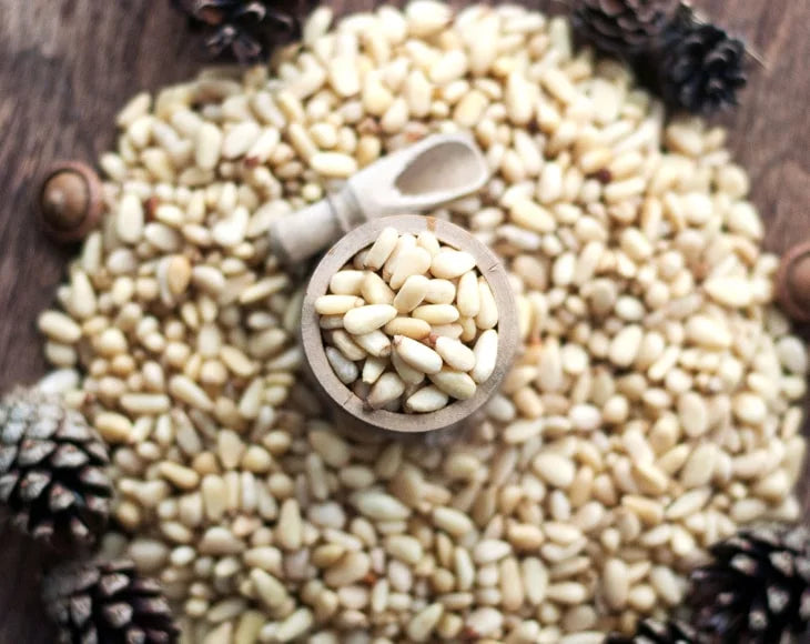 Pine Nuts, 1 Pound — Kosher, Vegan, Raw R12114