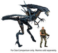 Xenomorph Queen Action Figure E20441