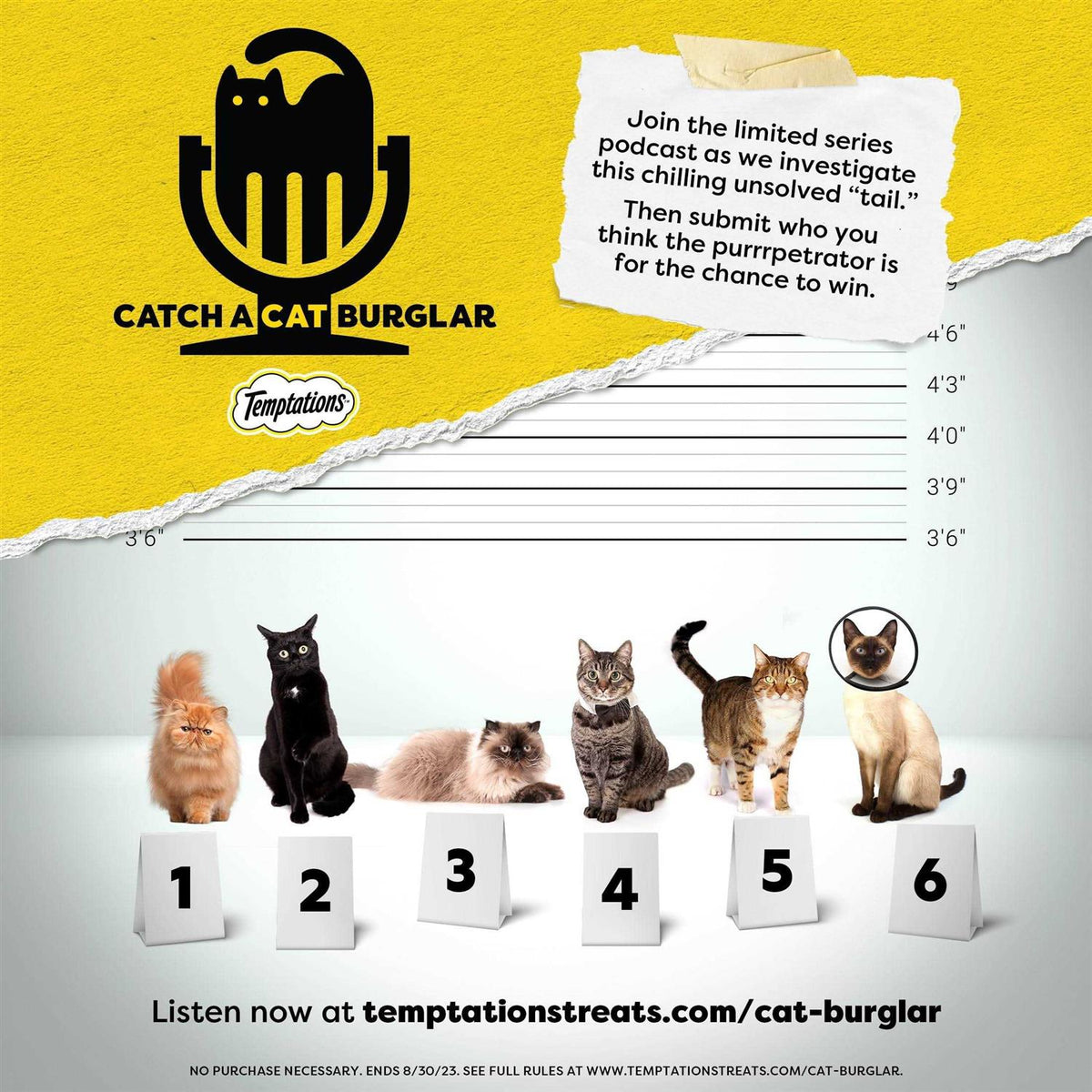 Treat Dispensing Cat Toy L95513