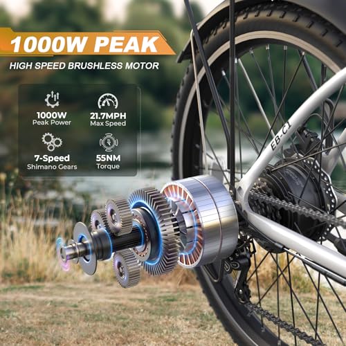 26" 1000W Peak Electric Bike with 48V Removable Li-ion Battery X849
