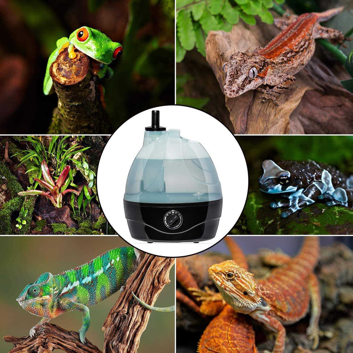 Reptile Humidifier Fogger 3L Tank F255
