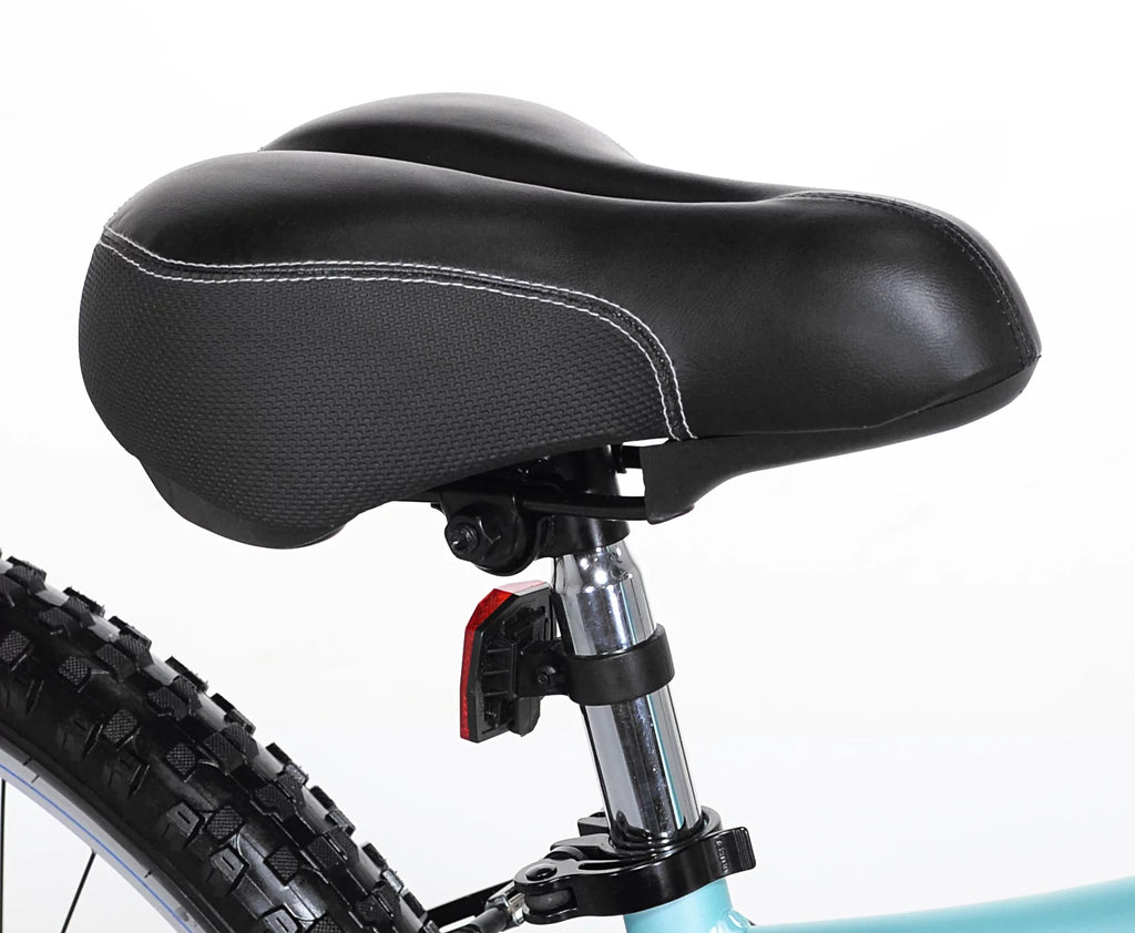 Teal Women's Mountain Bike Y9244