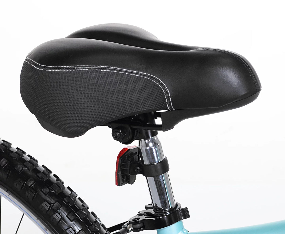 Teal Women's Mountain Bike Y9244