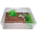 Acrylic Insect & Reptile Terrarium M49782