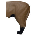 African Lion Rear G987693