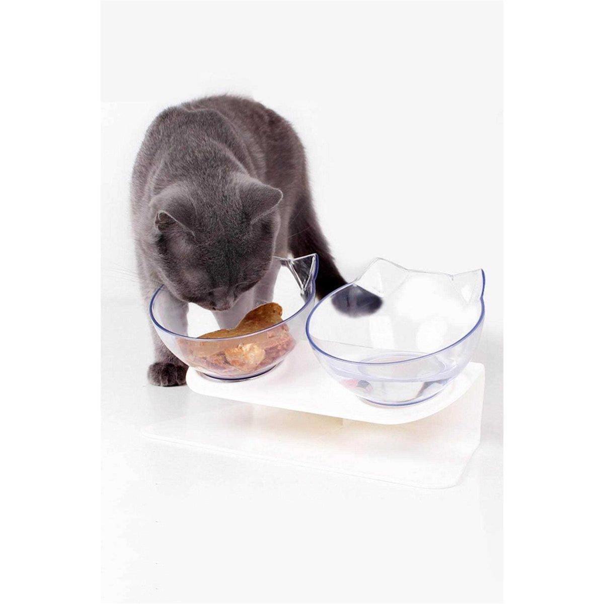 Elevated Cat Bowls Q68447