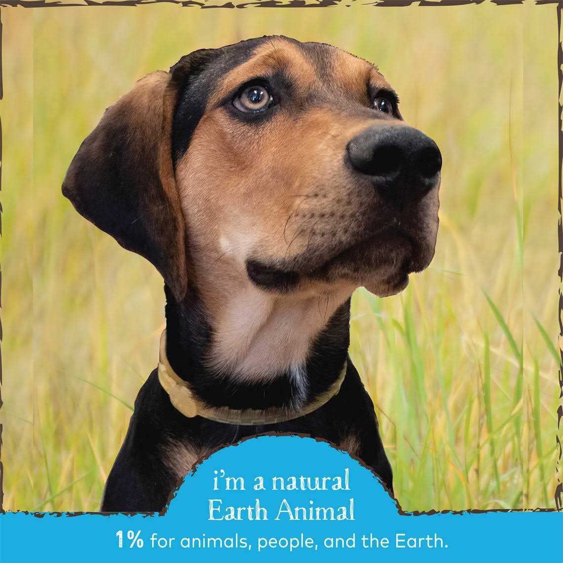 Herbal Flea Tick Collar for Dogs D80209