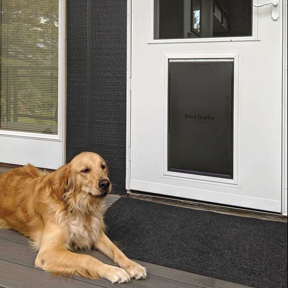 Pet Storm Door Y19005