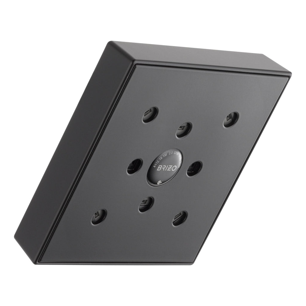 Raincan Shower Head D506381