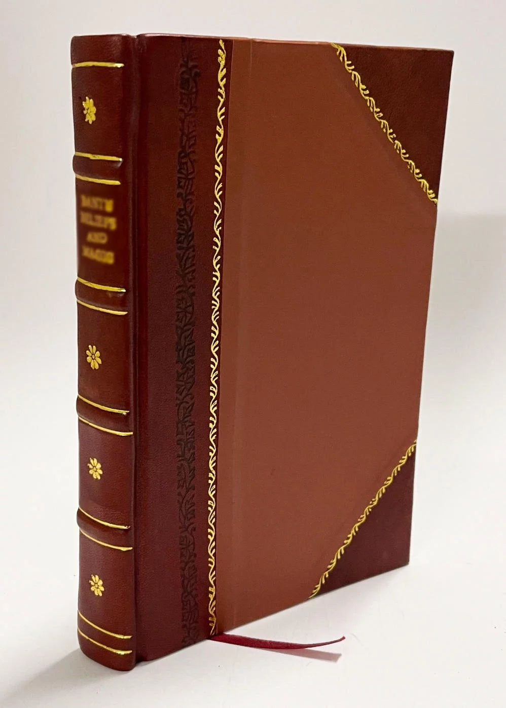 Leather Bound Book I275