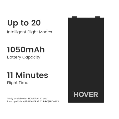 Batteries Accessory Black D30478
