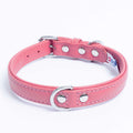 Dog Collar T7855