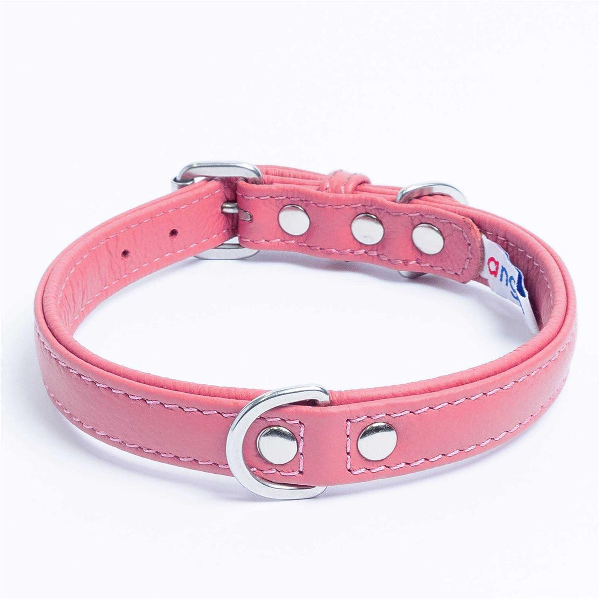 Dog Collar T7855