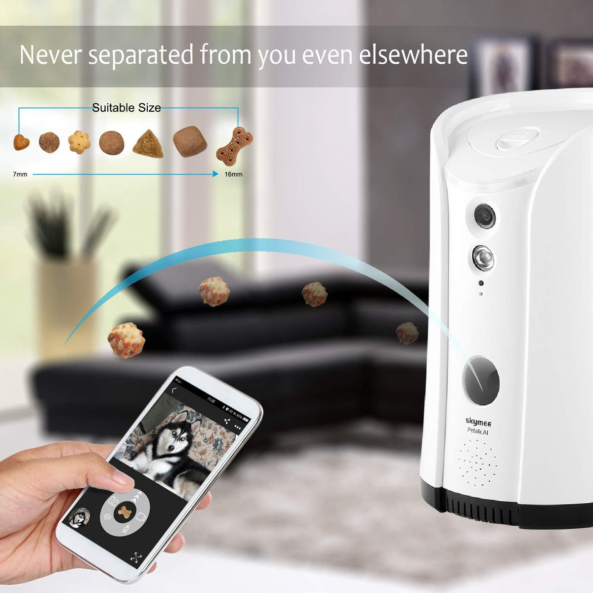Dog Camera Treat Dispenser with Two-Way Audio and Night Vision F171913