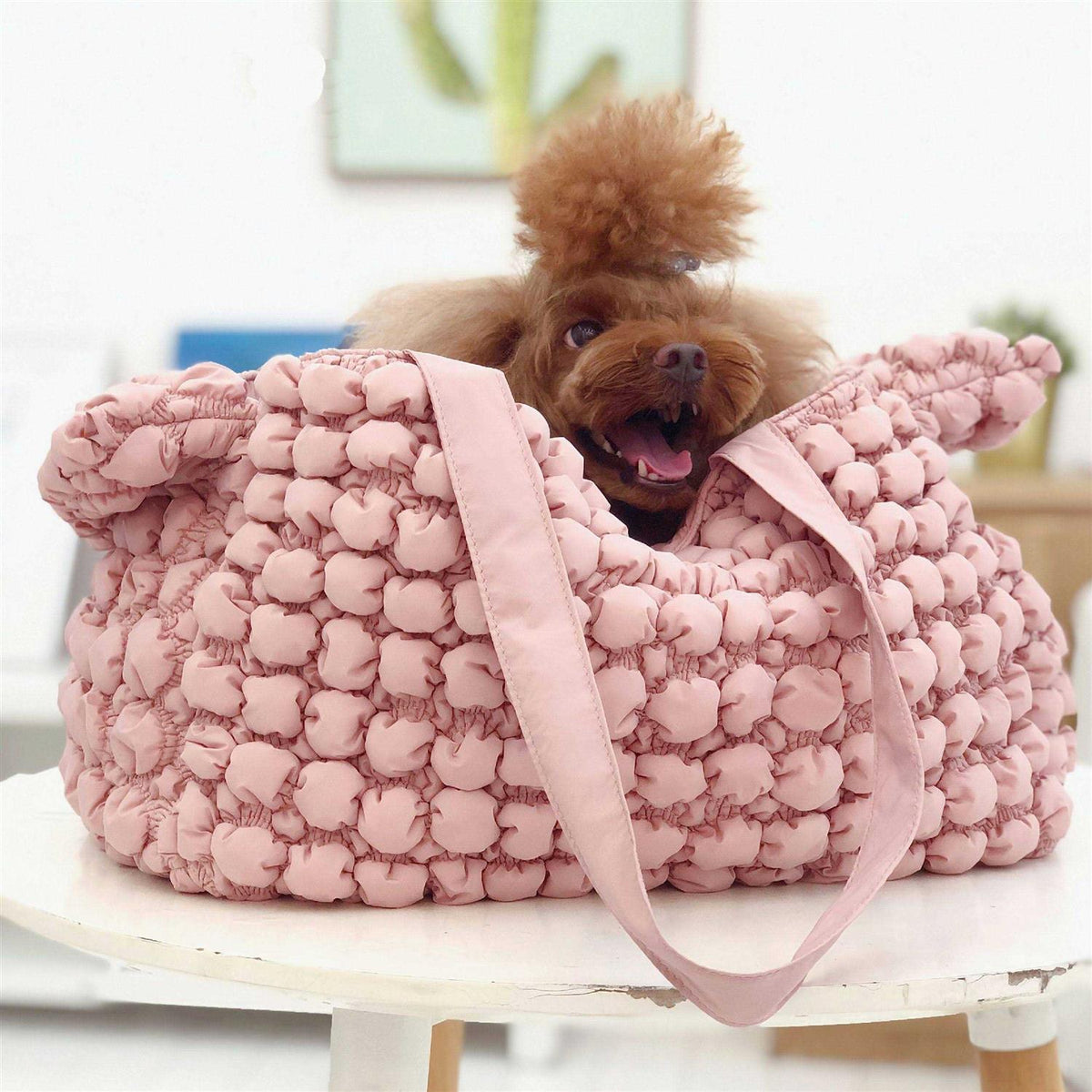 Pet Carrier C48337