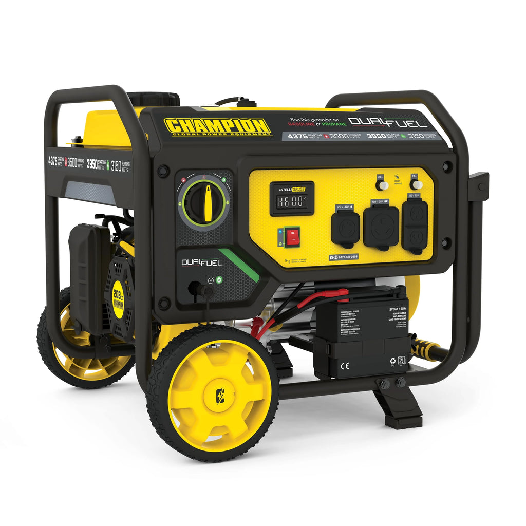 3500-Watt Dual Fuel Portable Generator L5761