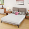 Queen Size 6 Inch Medium-Firm Foam Mattress B1421