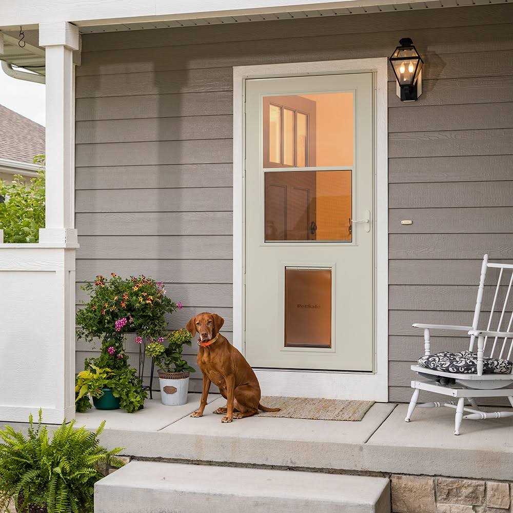 Pet Storm Door Y19005
