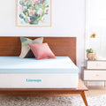 3 inch Gel Infused Memory Foam Mattress Topper V865037
