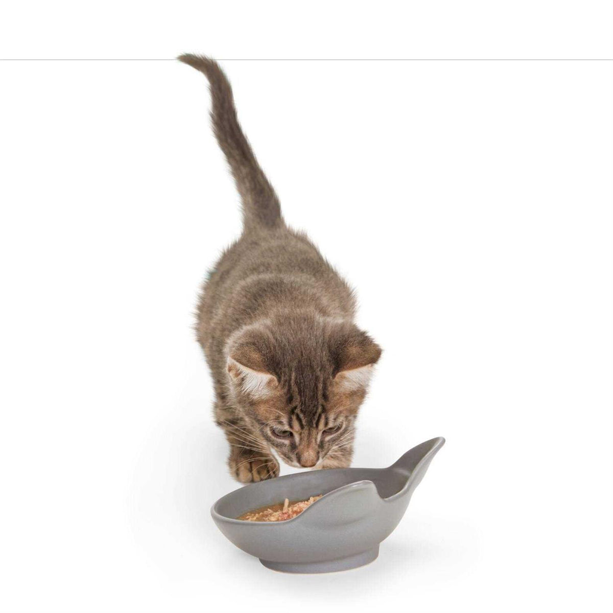 Ceramic Cat Bowl X583011