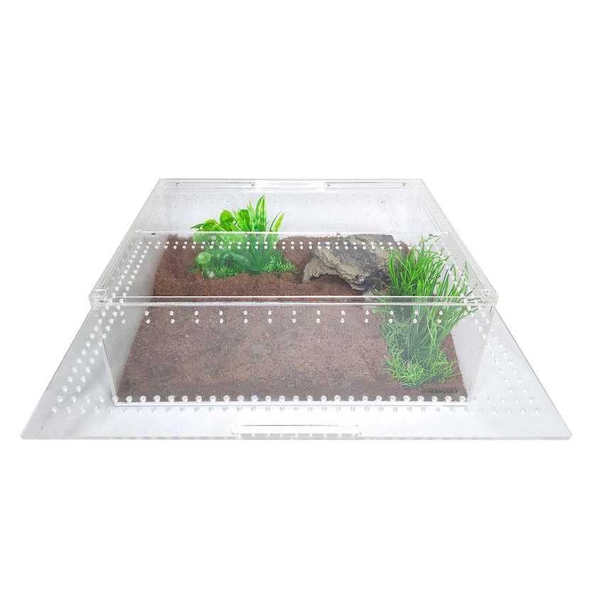 Acrylic Insect & Reptile Terrarium M49782