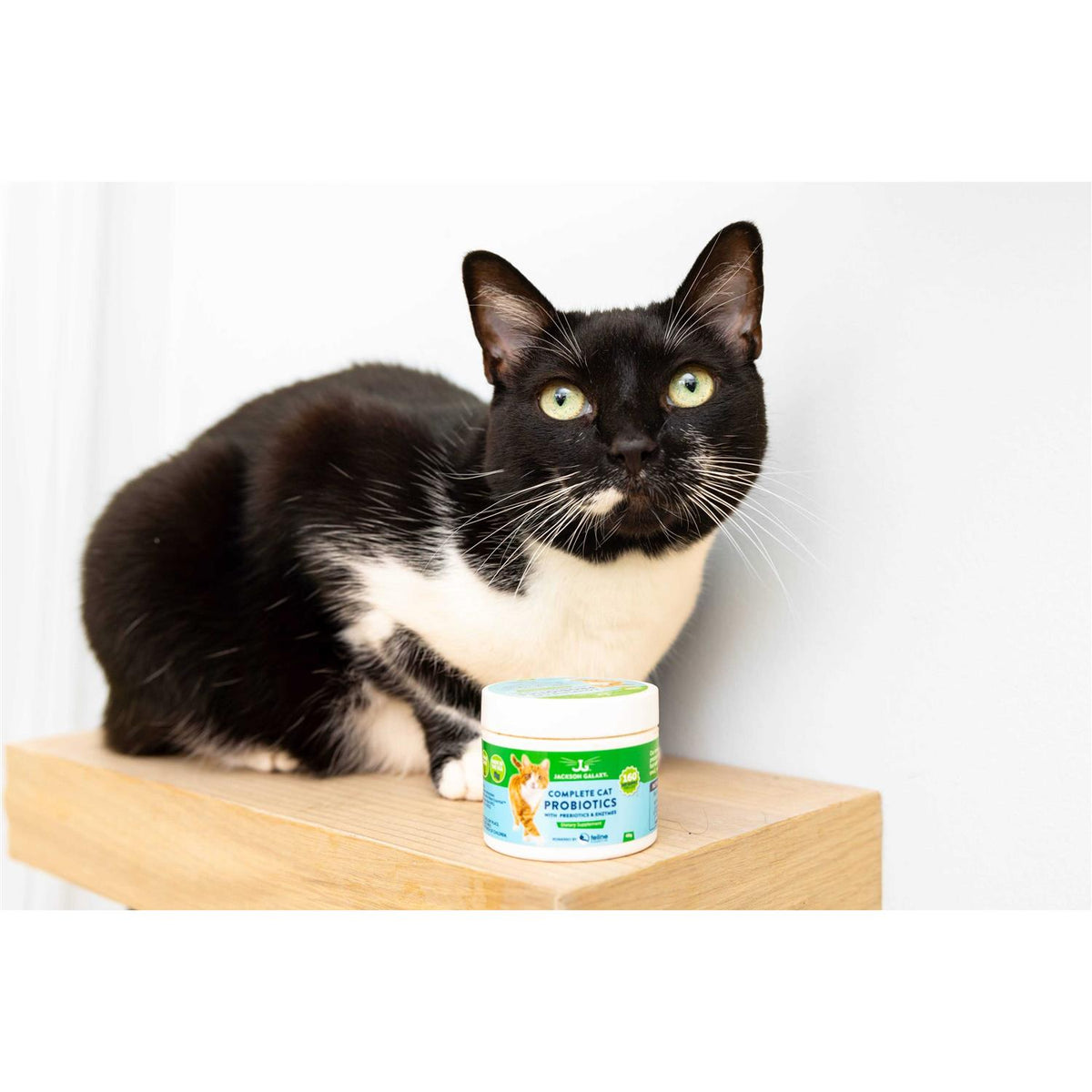 Cat Probiotics with Prebiotics & Enzymes O373