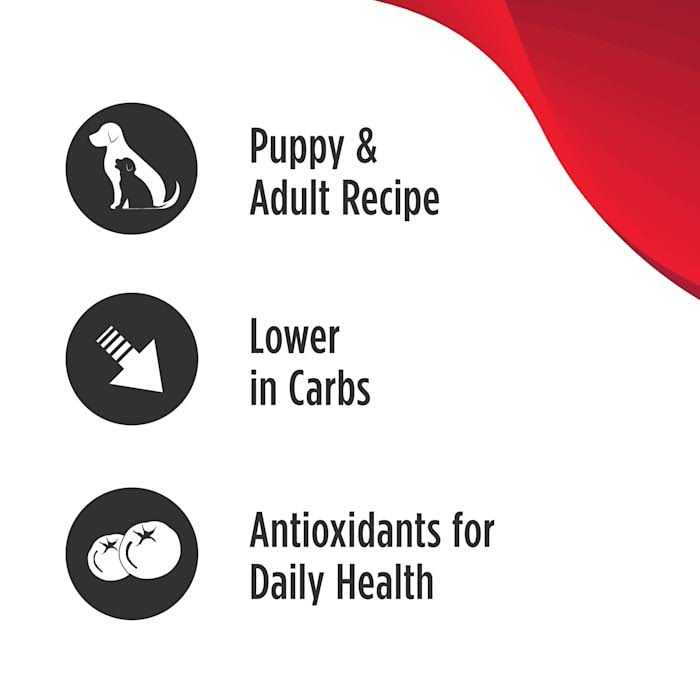 Grain Free Salmon Dog Food M555