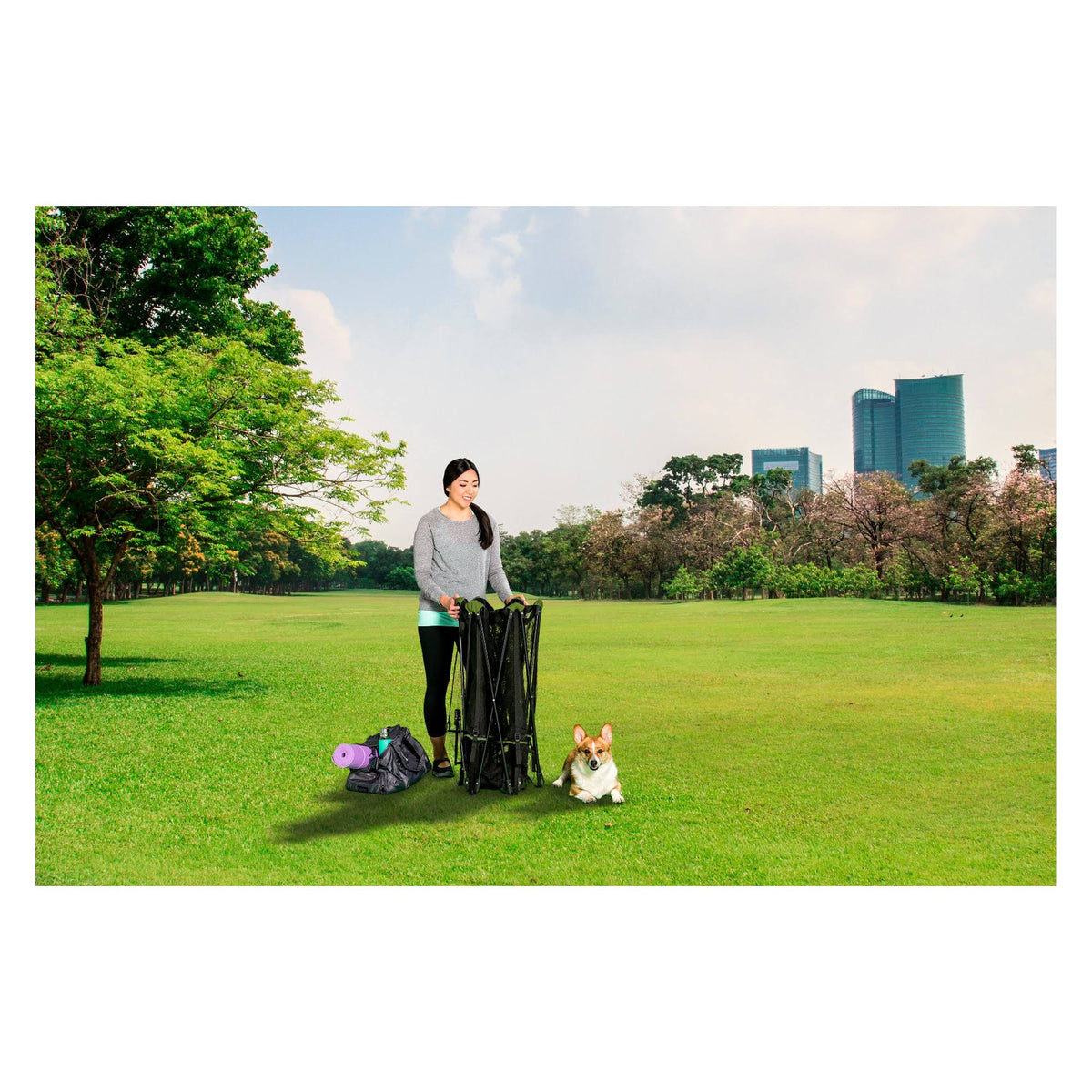 8 Panel Portable Pen with Pet Door and Carry Case Q845146